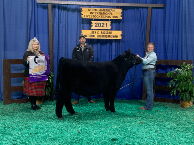 Agriculture & Livestock Production Senior Earns 1st Place at North American Livestock Expo Image