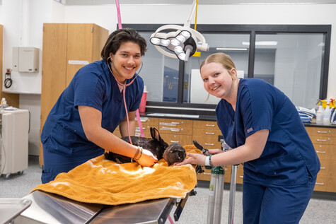 Veterinary Science Image