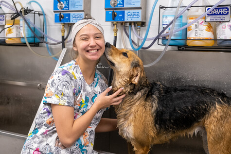 Animal Care & Management Image