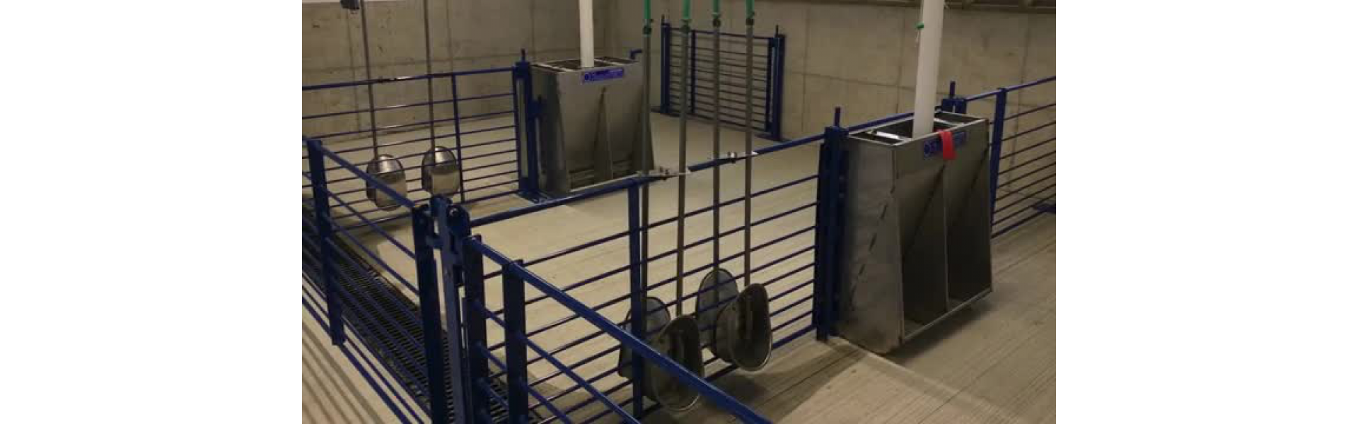 CTC Tube Video Image